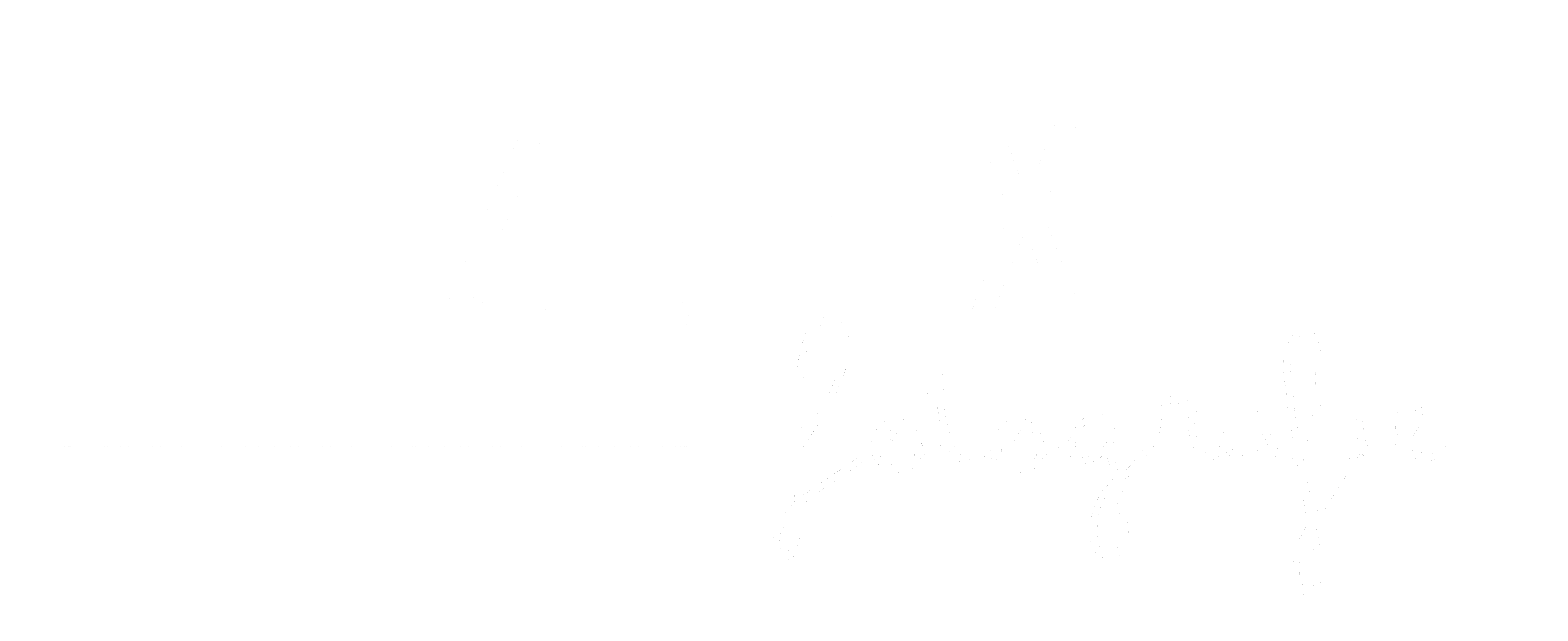 NyzePix Fotografie Logo